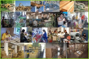 Abafactory the Czech manufacturer of wooden toys - processing of wood, hand work, hand painting, export.