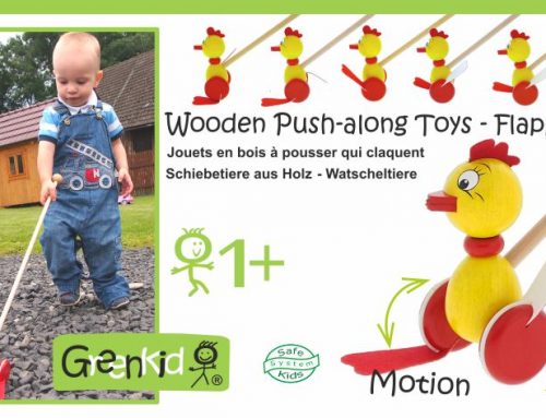 Wooden Push-along Toys – Flapping
